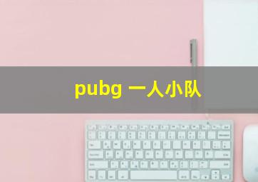 pubg 一人小队